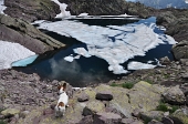 Alla scoperta dei Laghi alta Val Sanguigno tra Monte Pradella e Pizzo Salina il 25 luglio 2010 - FOTOGALLERY